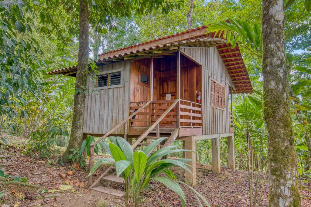 Zahrada ubytování Selva Bananito Lodge