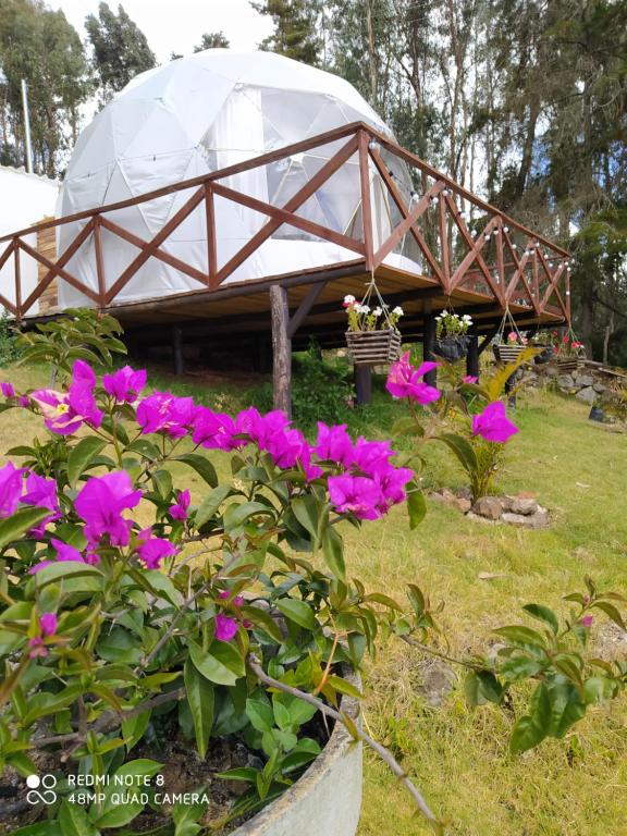 Zahrada ubytování Glamping Chinu