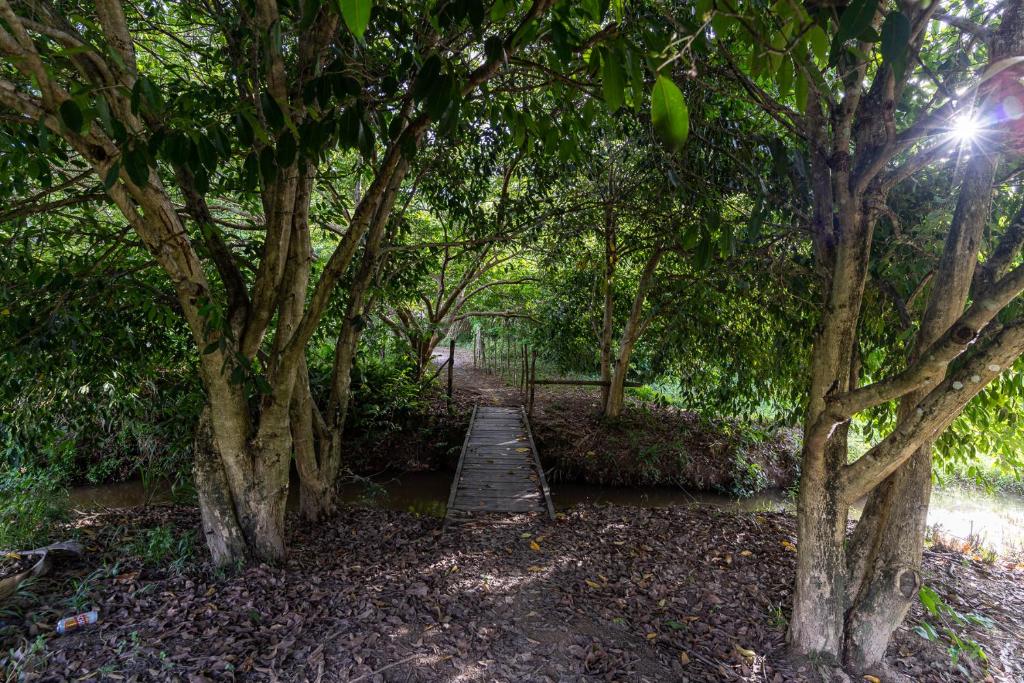  Fazenda Flor do Vale
