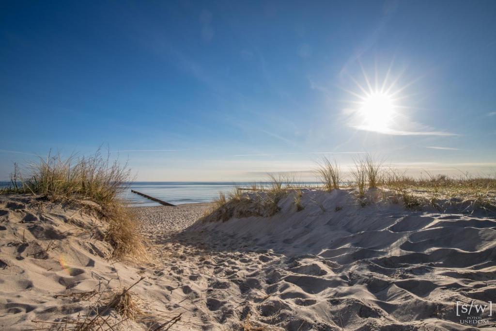 a sandy beach with the sun in the sky at Düne 74 in Karlshagen