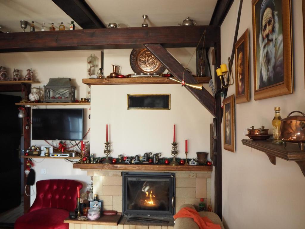 a living room with a fireplace and a red chair at Cabana din Vale in Vale