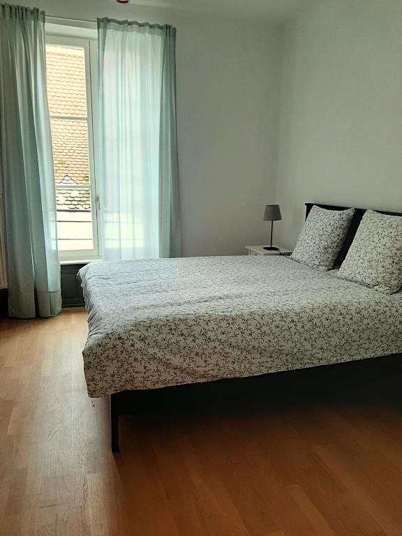 LE 1 " GÎTES TOUT CONFORT à COLMAR CENTRE" – photo 49
