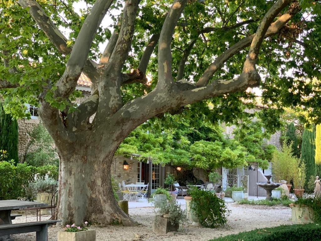 Zahrada ubytování Le Clos de Lucie