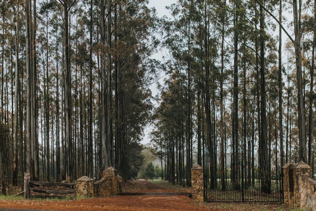 ein Tor inmitten eines Waldes mit hohen Bäumen in der Unterkunft Clover Cottage Country Retreat in Manjimup