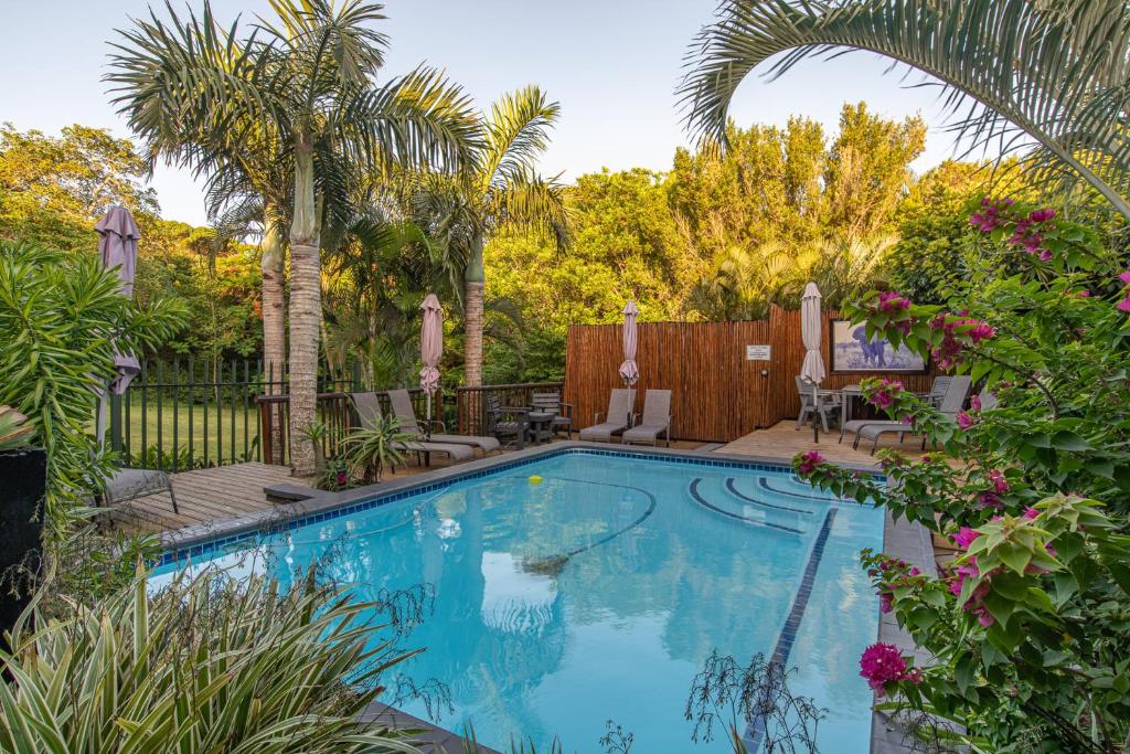 a swimming pool in a yard with palm trees at Elephant Coast Guesthouse in St Lucia