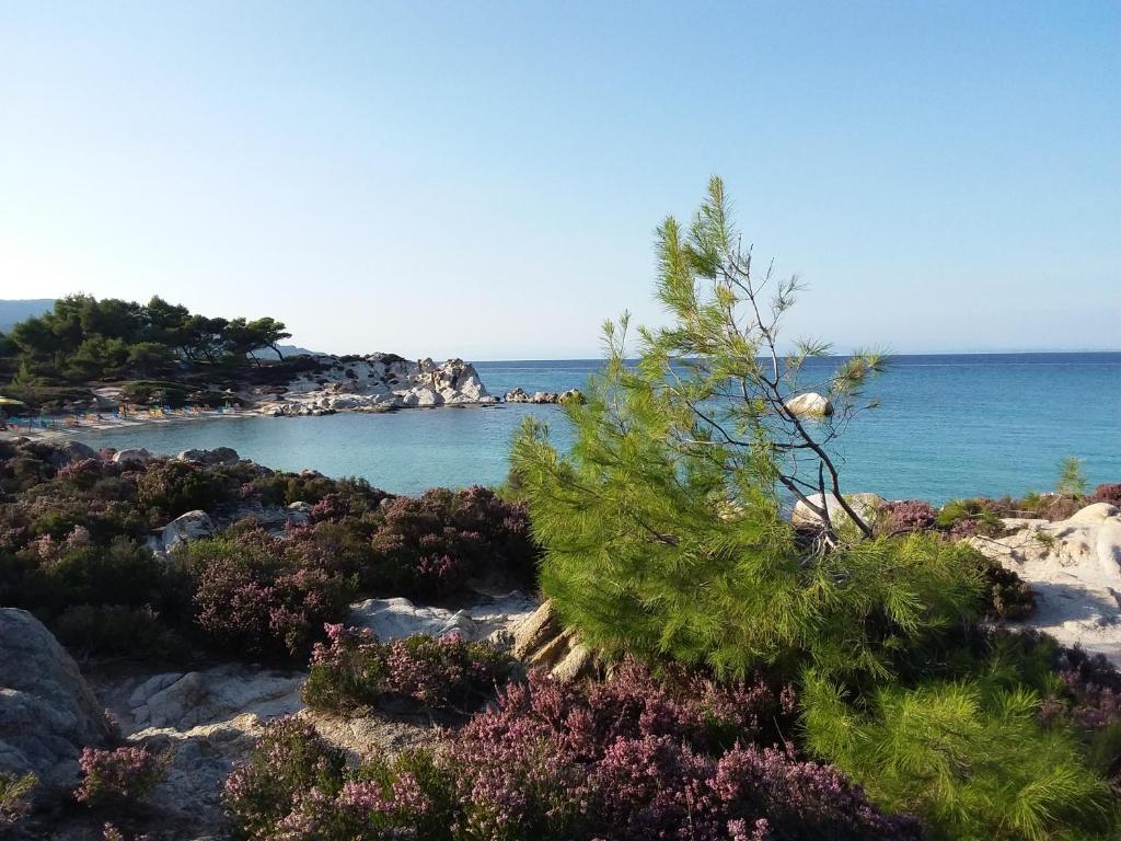 a view of the ocean from a rocky beach at Haus Despina in Sarti