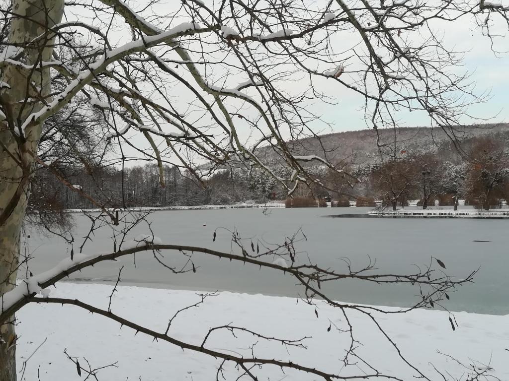 Príroda v okolí apartmánu