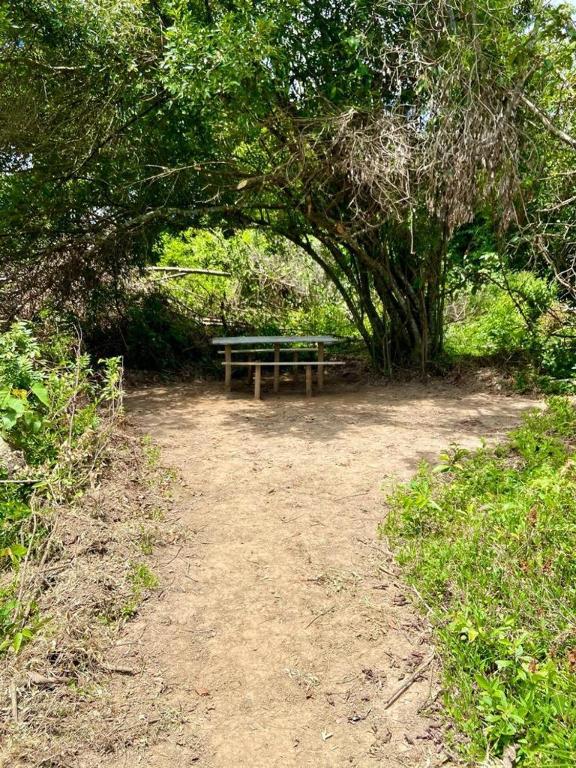  Camping Rio Cipó - Serra do Cipó
