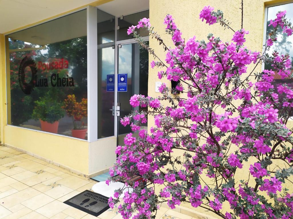 un albero con fiori viola di fronte a un negozio di Pousada Lua Cheia a Botucatu