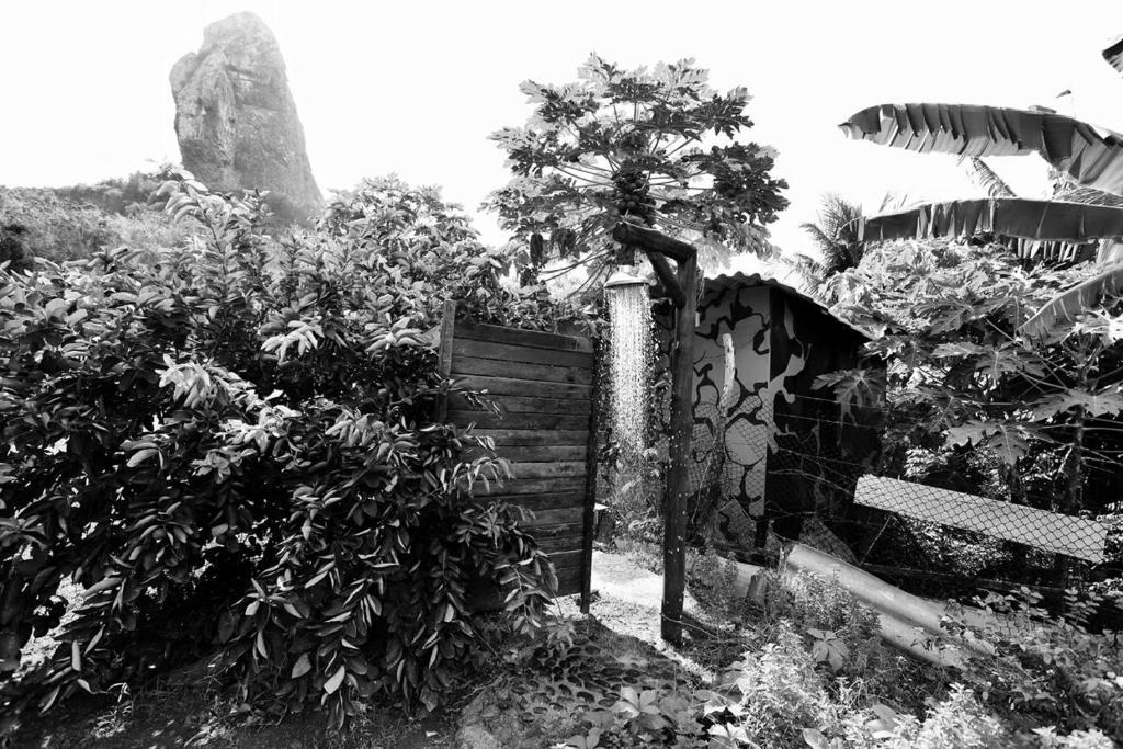  Flat Pedra do Pico