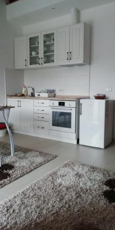 Kuchyň nebo kuchyňský kout v ubytování Apartman Sunce Zova