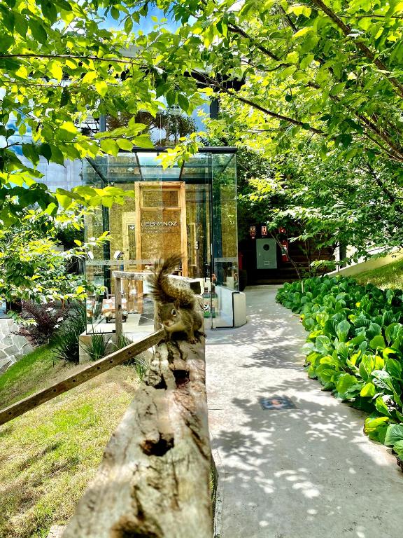 Hotel Boutique QUEBRA-NOZ