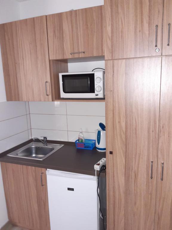 Kuchnia lub aneks kuchenny w obiekcie M47 Vendégház-Airport