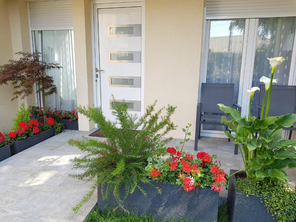 un porche con un ramo de flores y plantas en Super Studio cosy proche de CDG en Le Thillay