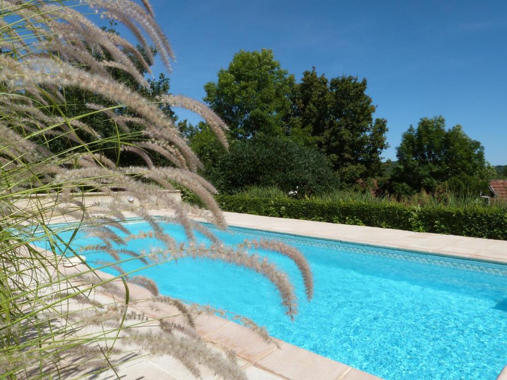 une piscine bleue avec de l'herbe haute dans l'établissement Gîte avec Piscine proche de St Cirq Lapopie, à Berganty