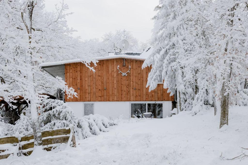 Naturtraum Georgshöhe - 16