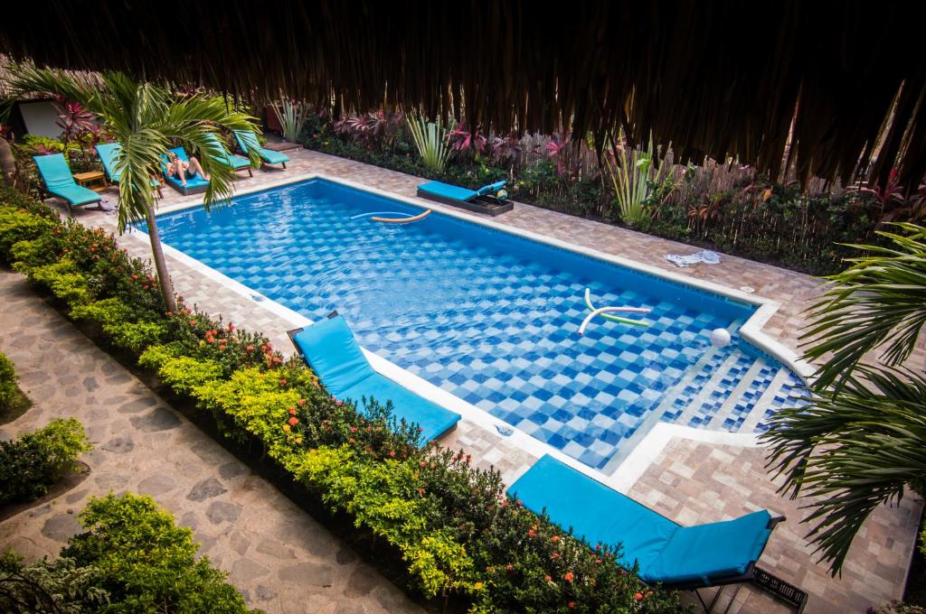 a swimming pool with blue chairs and palm trees at Primaluna Beach Hostel in Palomino