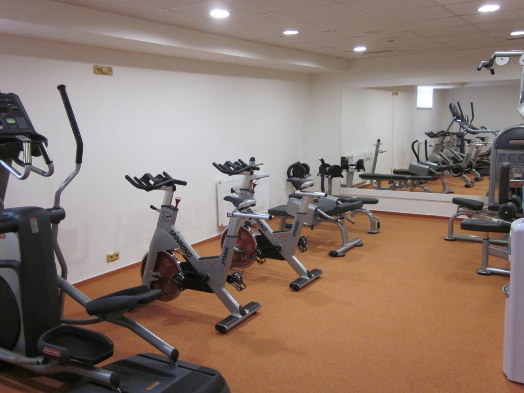 Fitness centrum a/nebo fitness zařízení v ubytování Penzion Forman