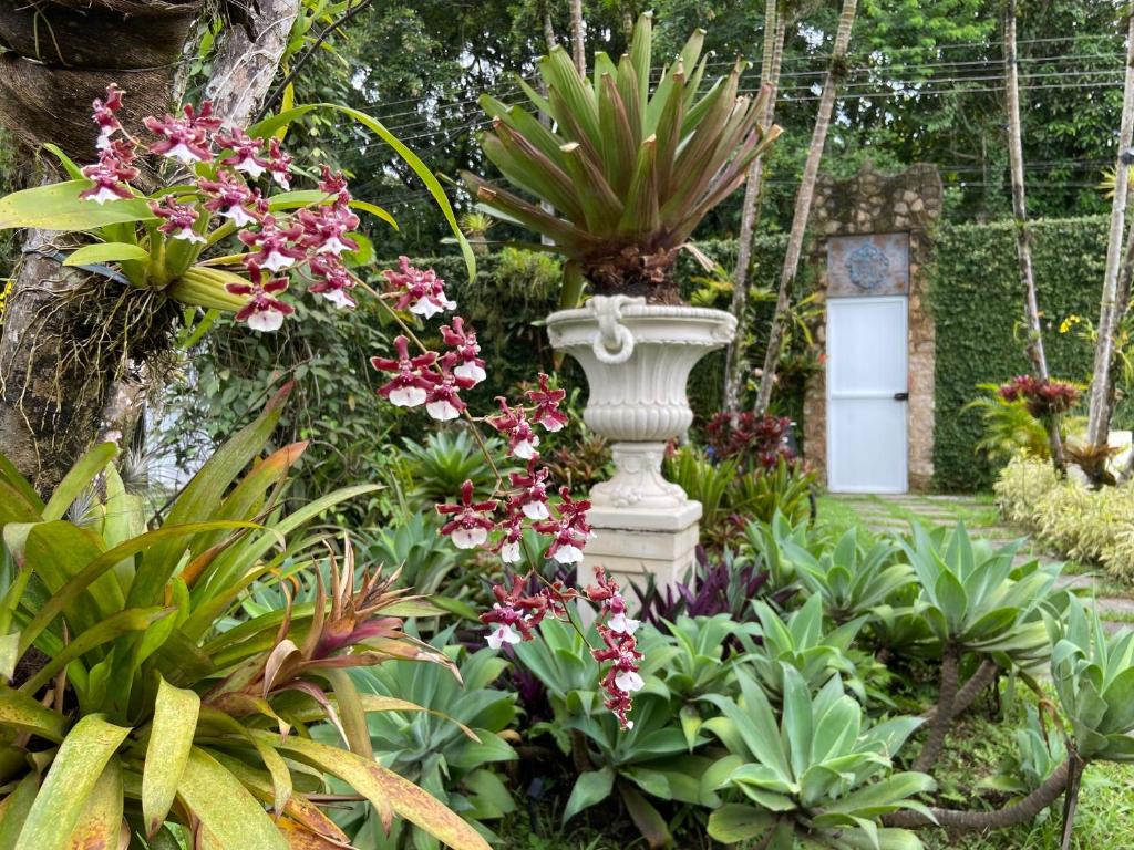  Casa Nostra Boutique Hotel