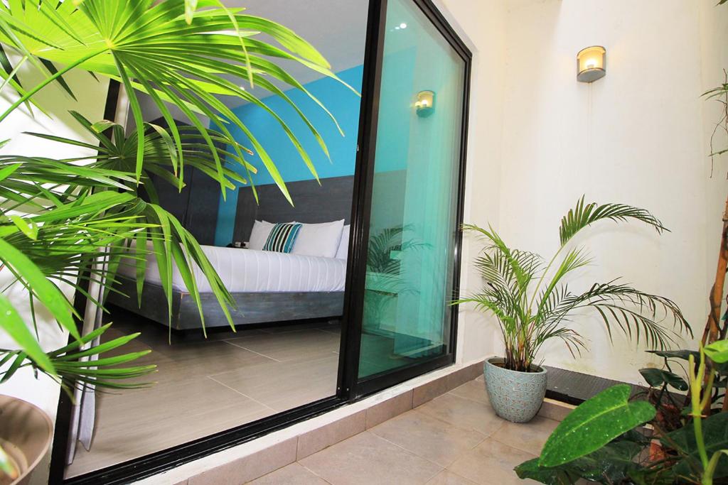 We Express Hotel Playa del Carmen