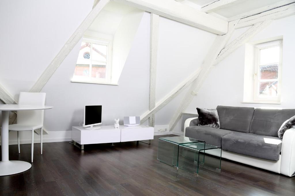 My Sweet Homes - La Grenouillère HYPERCENTRE – photo 6