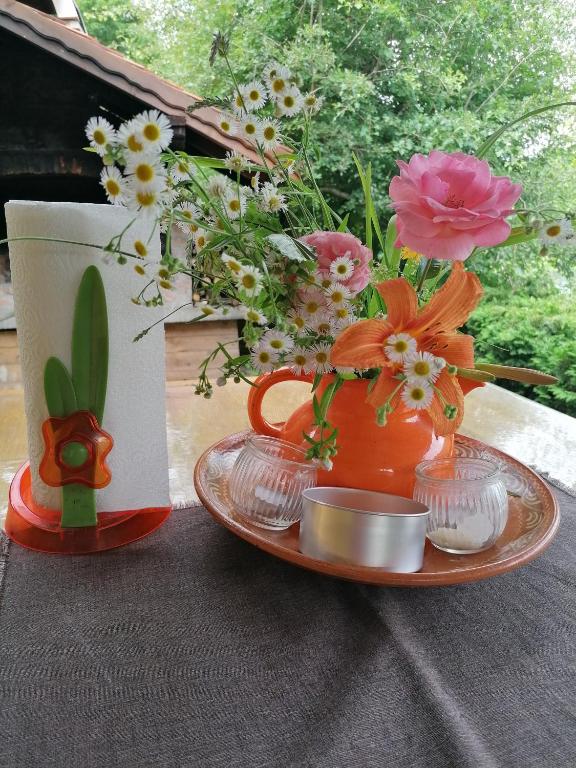 Zahrada ubytování Holiday home Mrežnički šum