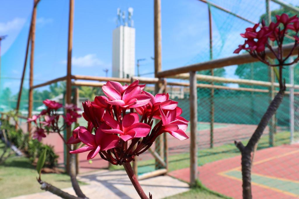  Resort La Fleur Polinésia Muro Alto Porto de Galinhas - Mário Lima