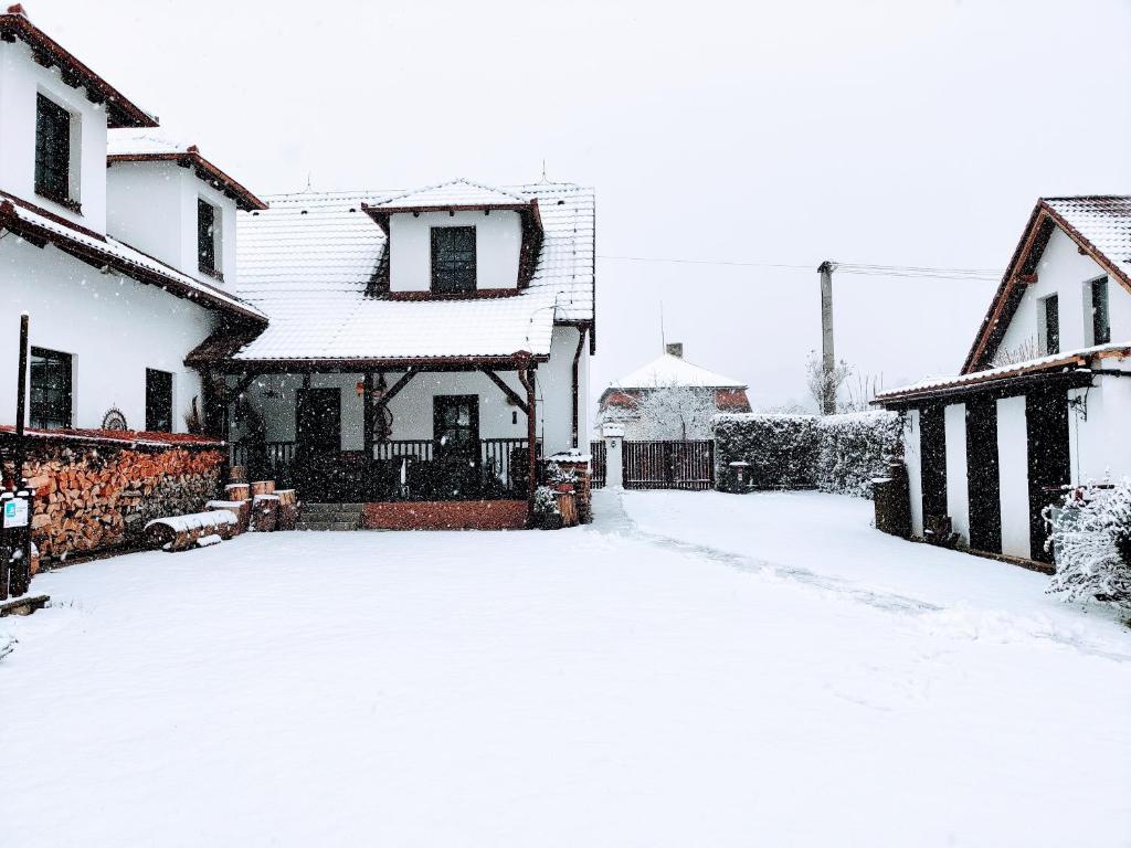 Penzion BEAKO na "Pinglu" v zimě