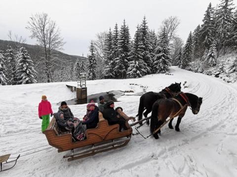 Hostia v ubytovaní Strefa Ciszy -Lawenda