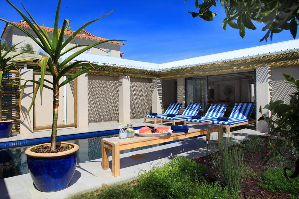 a patio with chairs and a palm tree next to a pool at Scallop Lodge in Plettenberg Bay