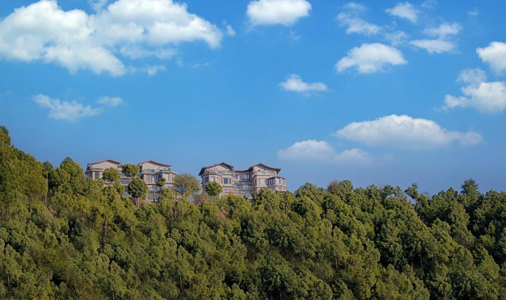 Příroda nedaleko hotelu
