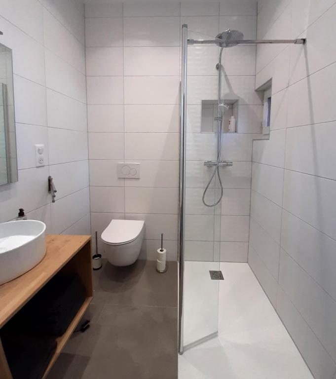 LE 1 " GÎTES TOUT CONFORT à COLMAR CENTRE" - 8