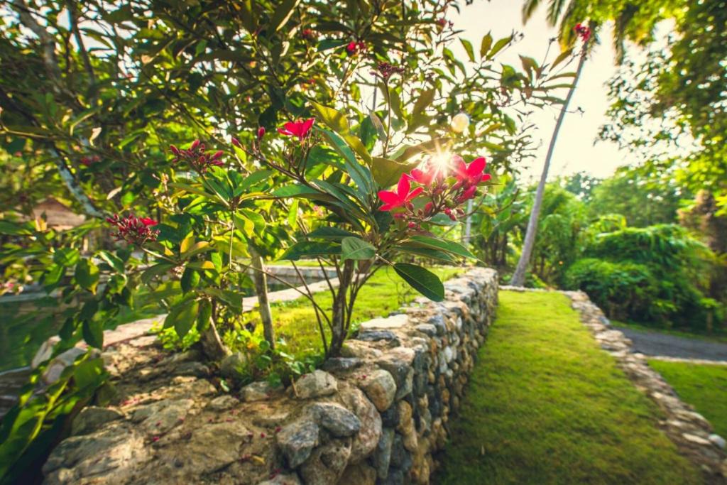 Zahrada ubytování NonKan HomeStay นอนกาญจน์ โฮมสเตย์