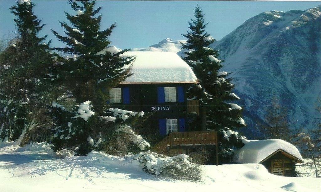 a house in the snow with trees in front of it at Chalet Alpina in Riederalp