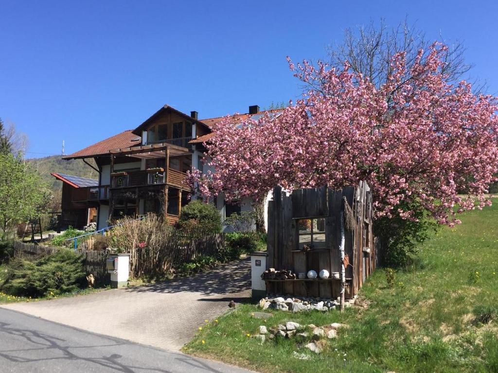 ein Haus mit einem blühenden Baum neben einer Straße in der Unterkunft Ferienwohnung Gammer in Rimbach