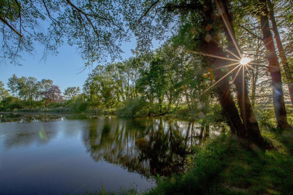una vista su un fiume con il sole che riflette sull'acqua di Matys Landhausperle an der Müritz a Röbel