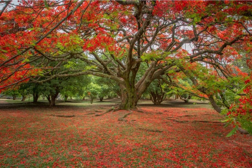  Ecos Temporada - Vila de São Jorge - Chapada dos Veadeiros
