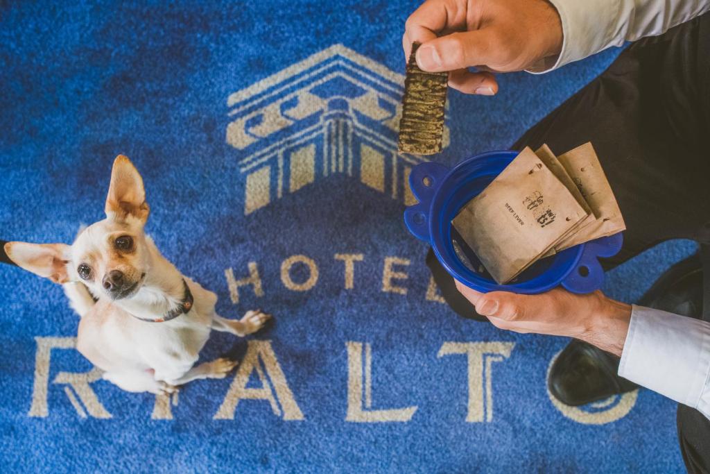 Hotel Rialto - Resim 12