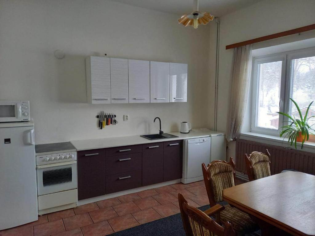 Kuchnia lub aneks kuchenny w obiekcie Apartmán Saxán Smržovka