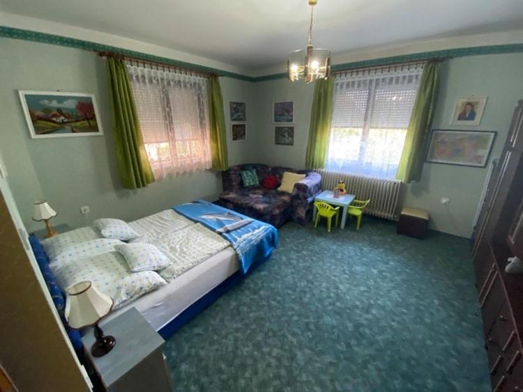 バラトンサールソーにあるSziszi nyaralóházのベッドルーム(ベッド1台、ソファ付)