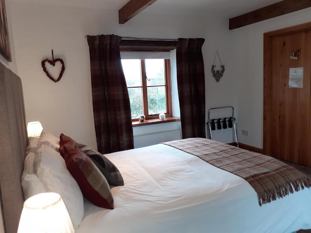 Treliver Farm - Suite King Superior