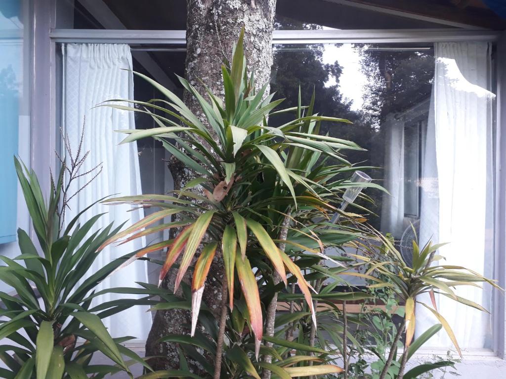  casinha da piscina