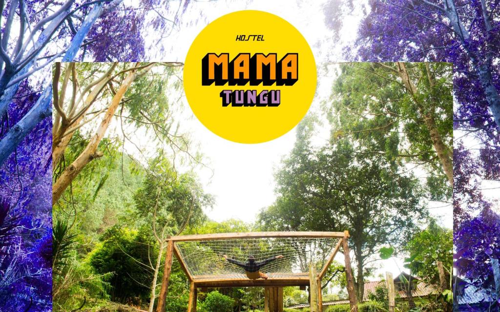 Zahrada ubytování Mama Tungu hostel