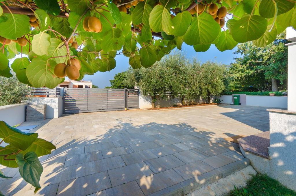 Zahrada ubytování Apartment Marija
