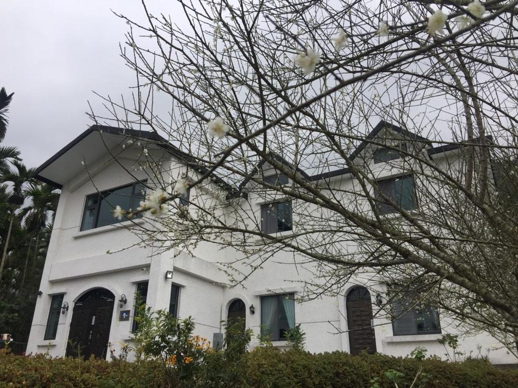 the country house所在大楼