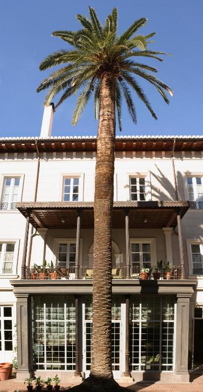 a palm tree in front of a white building at Villa Oniria in Granada