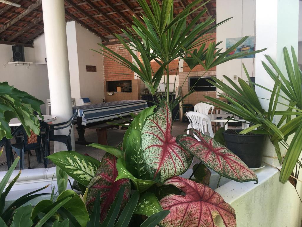  Apartamento com piscina perto da praia