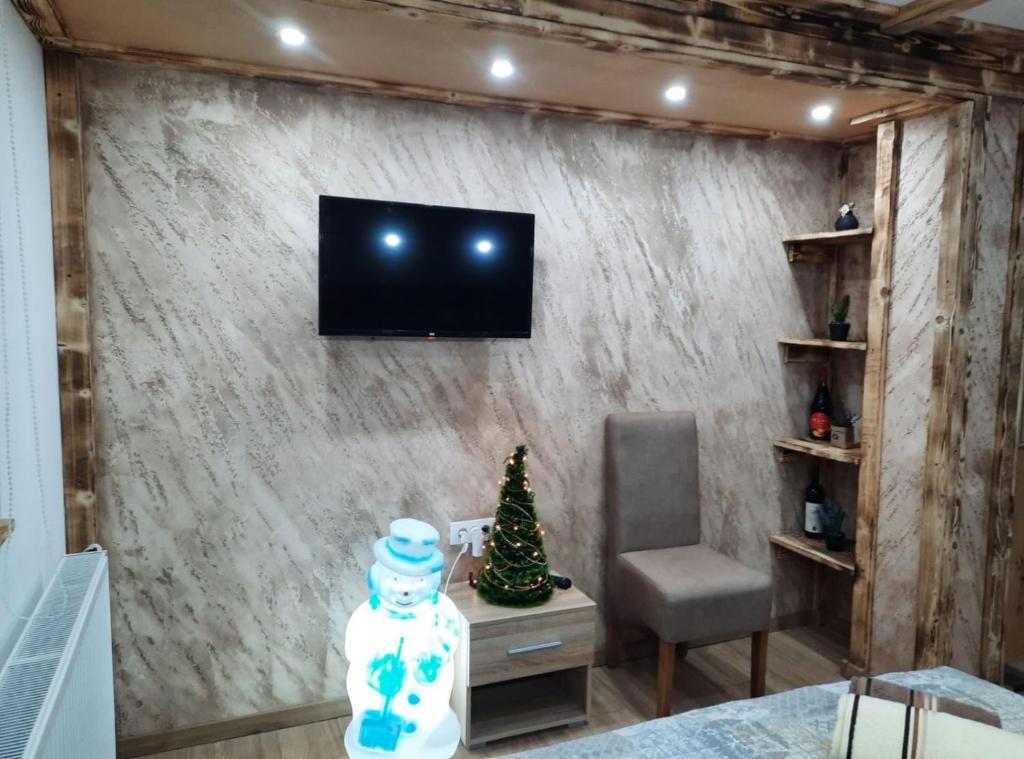 TV a/nebo společenská místnost v ubytování Apartmani MILOSAVLJEVIĆ Divčibare