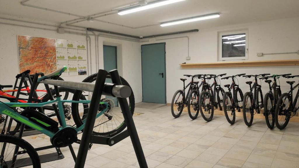 Fitness centrum a/nebo fitness zařízení v ubytování Hotel Cristallo