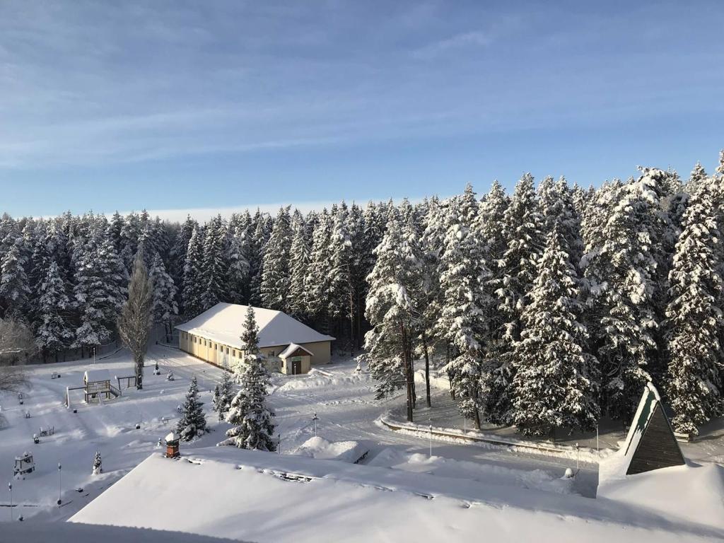 une cabine dans la neige à côté d'une forêt d'arbres dans l'établissement Lesnaya Skazka Hotel, à Pereslavl-Zalesski